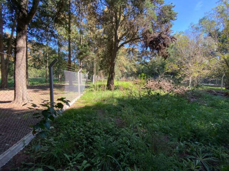 Lote Santa Rosa, Cañuelas/GBA