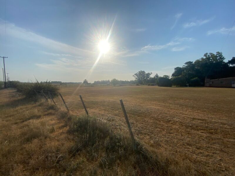 Lotes en Cañuelas