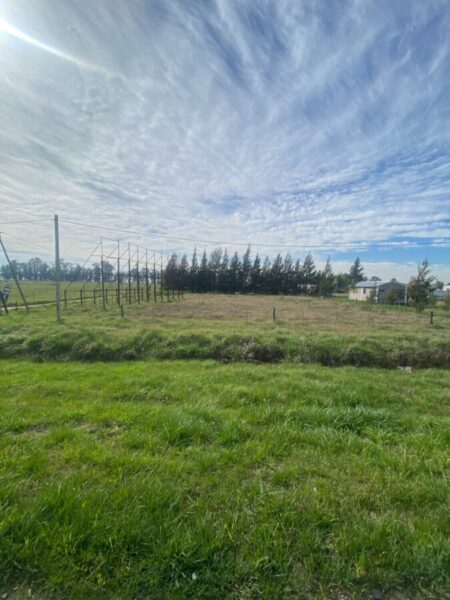 Lote en Cañuelas, Sobre R3