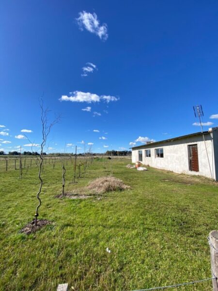 Quincho a terminar en Levene, Cañuelas