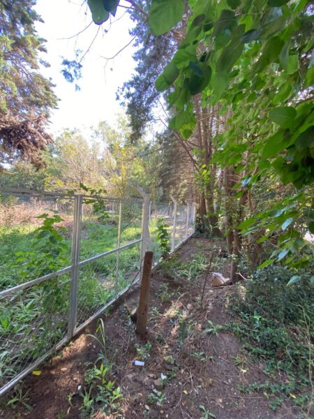 Lote Santa Rosa, Cañuelas