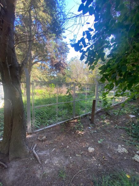 Lote Santa Rosa, Cañuelas