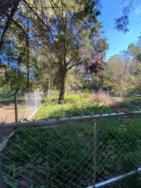 Lote Santa Rosa, Cañuelas