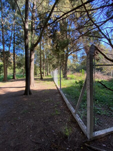 Lote Santa Rosa, Cañuelas
