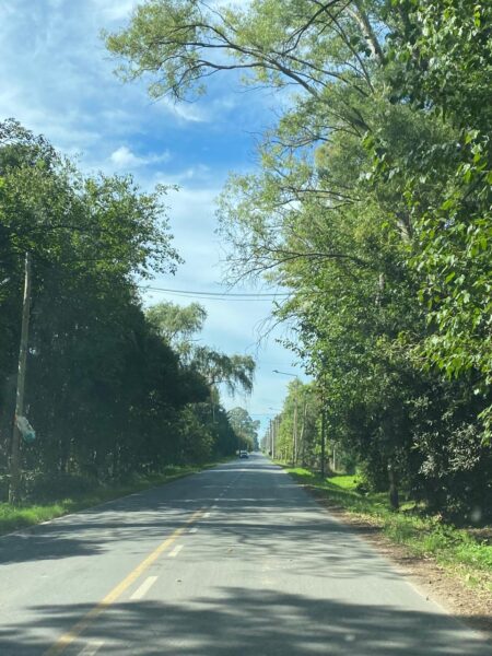 Lote Santa Rosa, Cañuelas