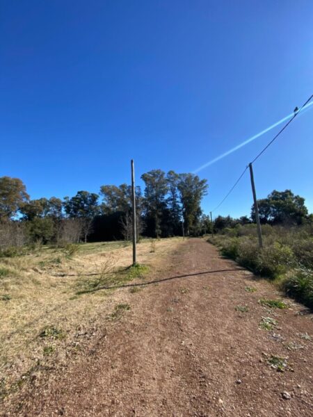 Lotes Barrio Peluffo