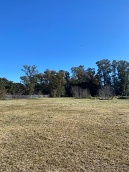 Lotes Barrio Peluffo