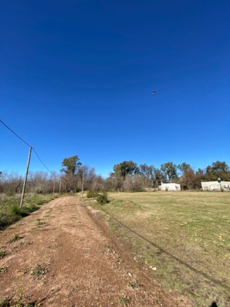 Lotes Barrio Peluffo