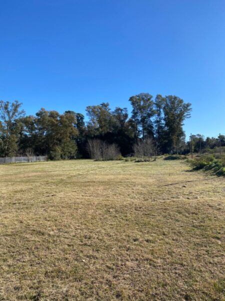 Lotes Barrio Peluffo