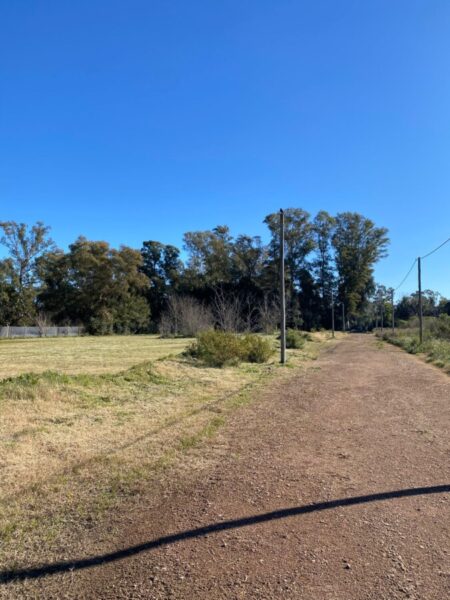 Lotes Barrio Peluffo