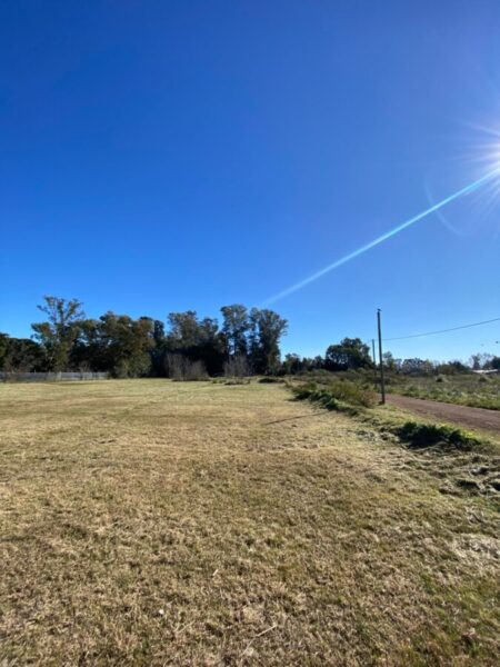 Lotes Barrio Peluffo