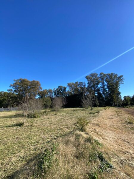 Lotes Barrio Peluffo