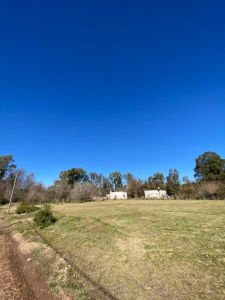 Lotes Barrio Peluffo