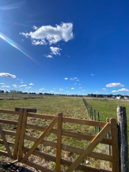 Lotes en Levene, Cañuelas