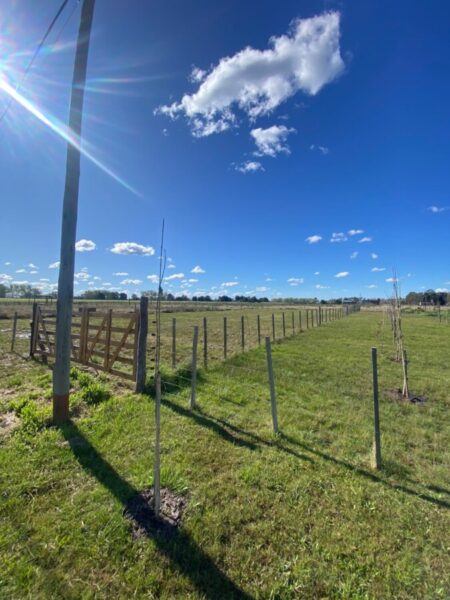 Lotes en Levene, Cañuelas