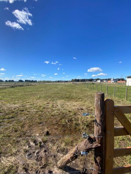 Lotes en Levene, Cañuelas