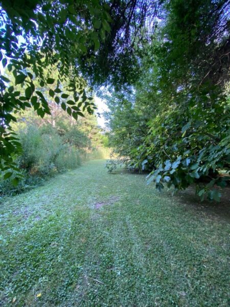 Lote en Marcos Paz, con Arboleda Unica !