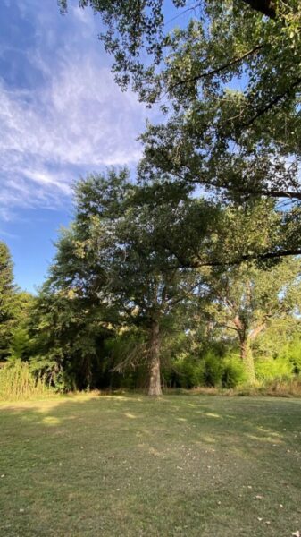 Lote en Marcos Paz, con Arboleda Unica !