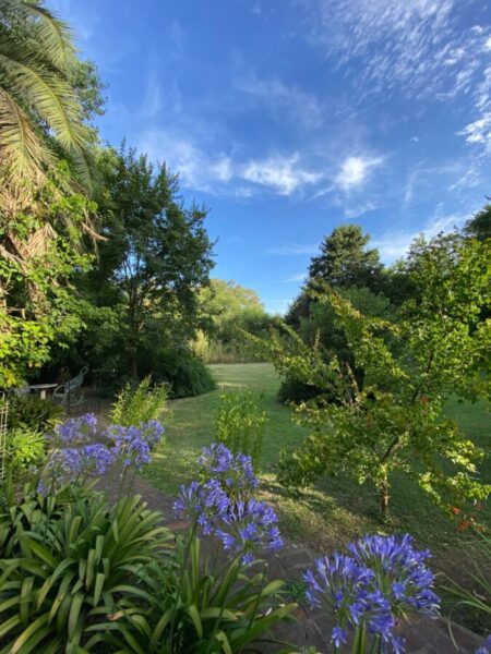 Lote en Marcos Paz, con Arboleda Unica !