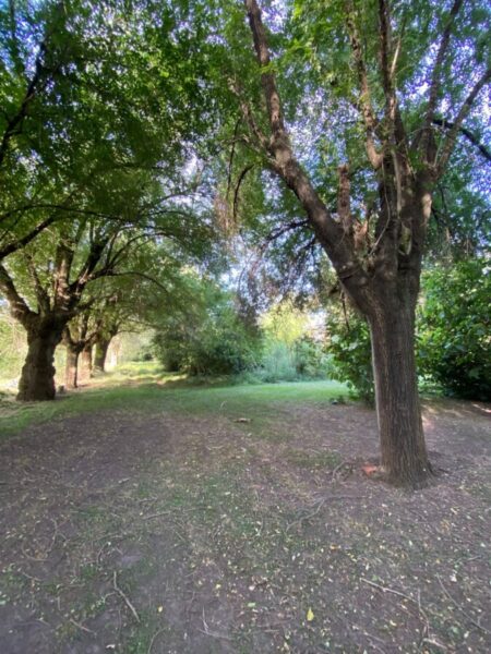 Lote en Marcos Paz, con Arboleda Unica !