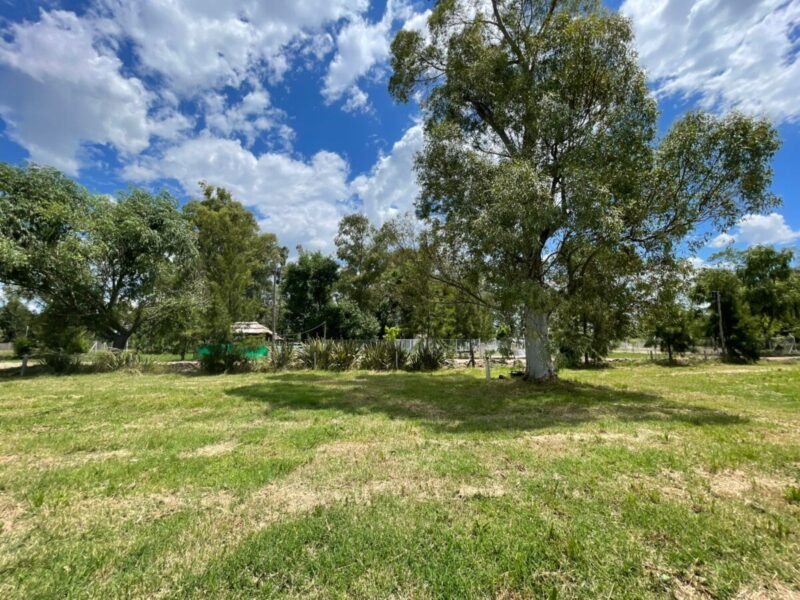 Lotes en Levene, Cañuelas
