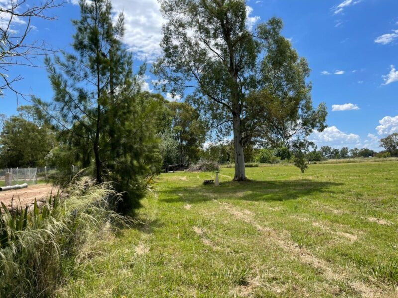 Lotes en Levene, Cañuelas