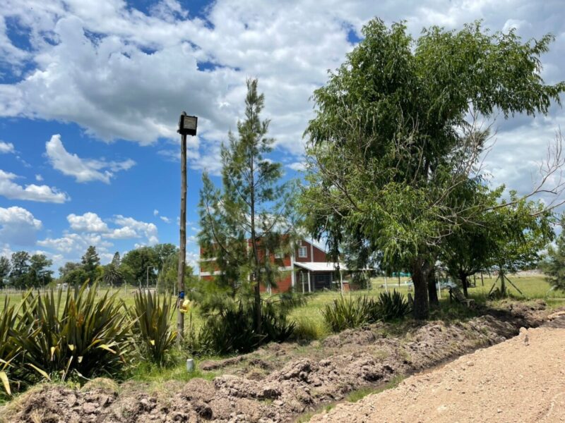 Lotes en Levene, Cañuelas
