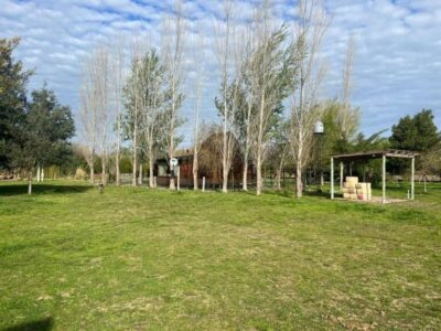 2 Hectáreas en Monte con MEJORAS