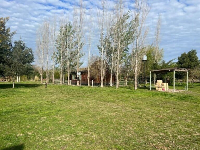 2 Hectáreas en Monte con MEJORAS