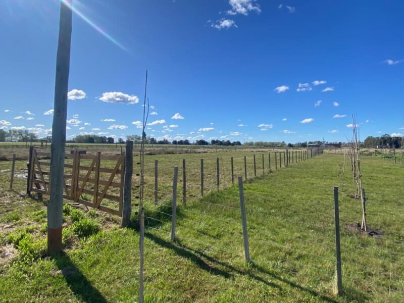Lotes en Levene, Cañuelas