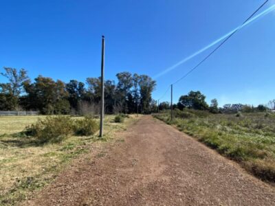 Lotes Barrio Peluffo