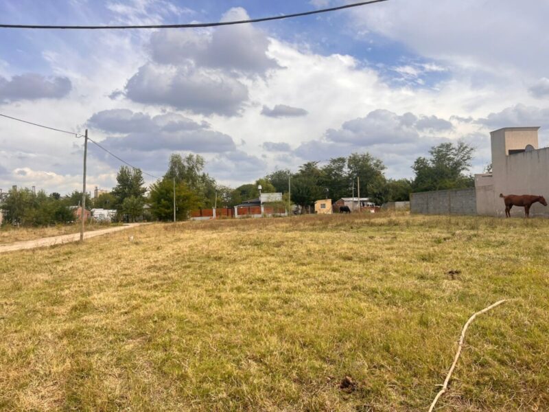 Lotes en Cañuelas | Excelente ubicación