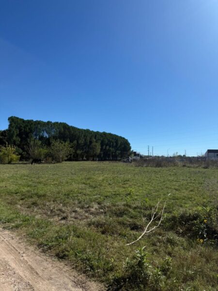 Lotes en Cañuelas | Excelente ubicación