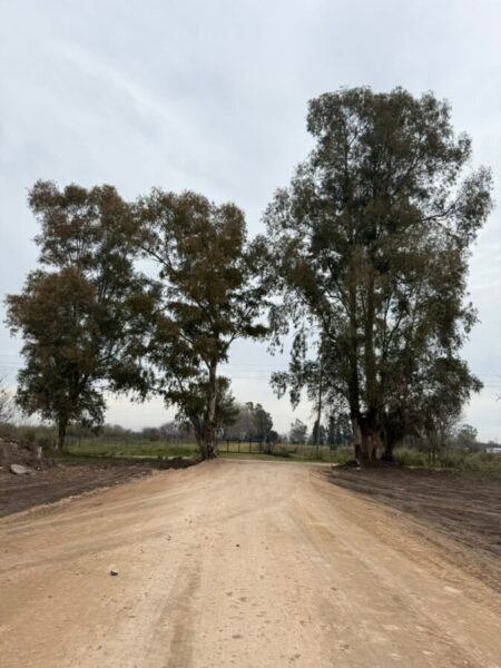Lotes en Venta en Barrio Abierto El Zorzal