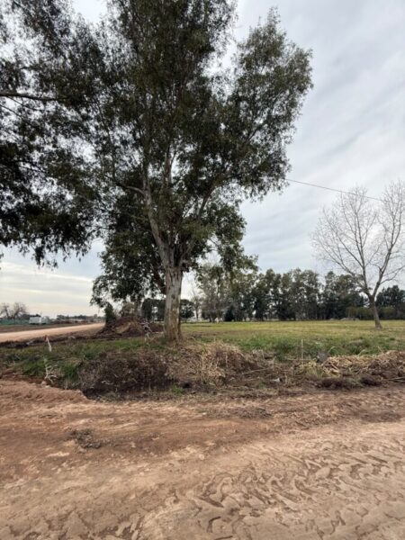 Lotes en Venta en Barrio Abierto El Zorzal